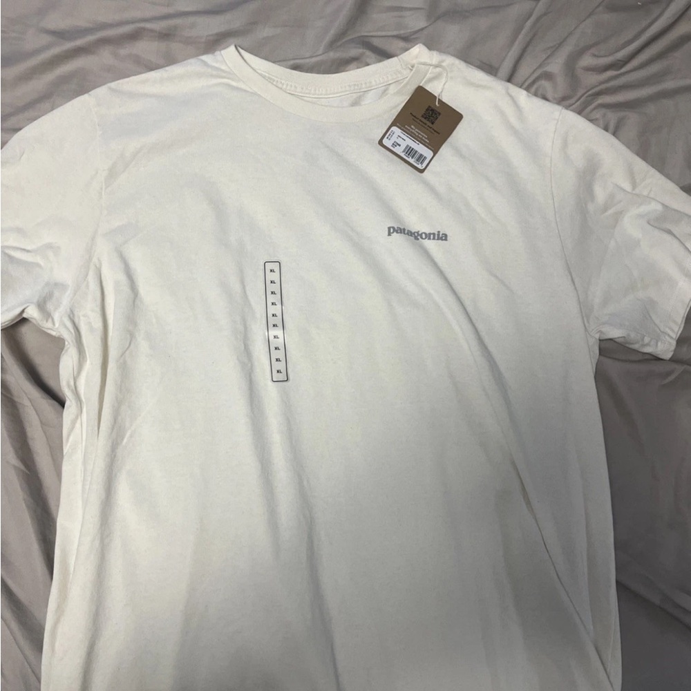Patagonia Men's Fitz Roy Icon Responsibility-tee birch White Short Sleeve Tee